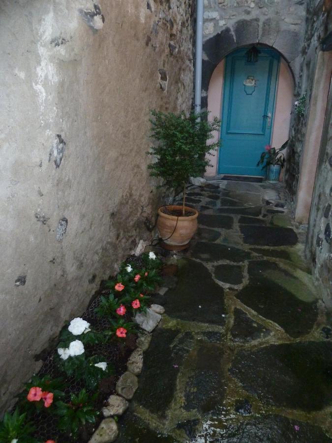 Bed and Breakfast Les Hibiscus Saint-Jean-le-Centenier Екстер'єр фото