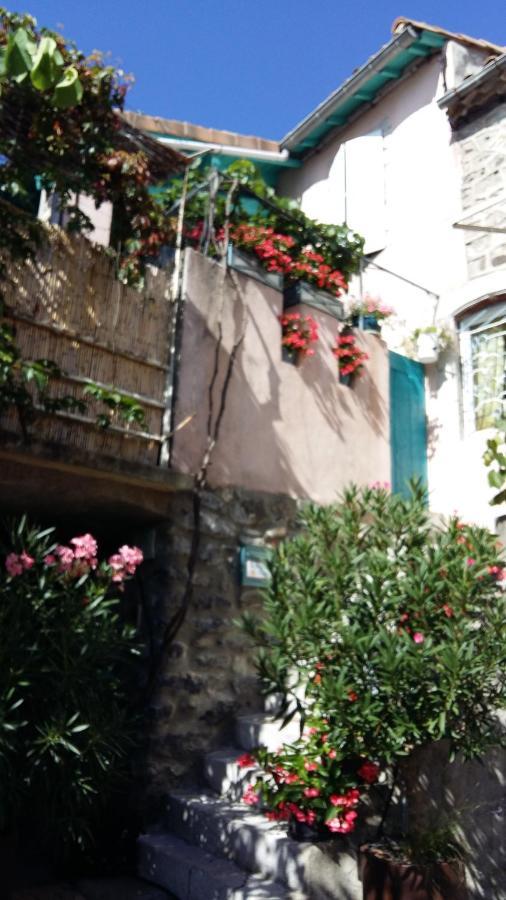 Bed and Breakfast Les Hibiscus Saint-Jean-le-Centenier Екстер'єр фото